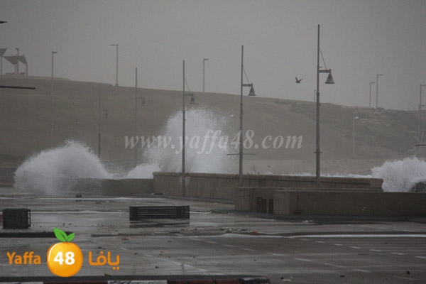 mina2 adrar jfe (2).jpg